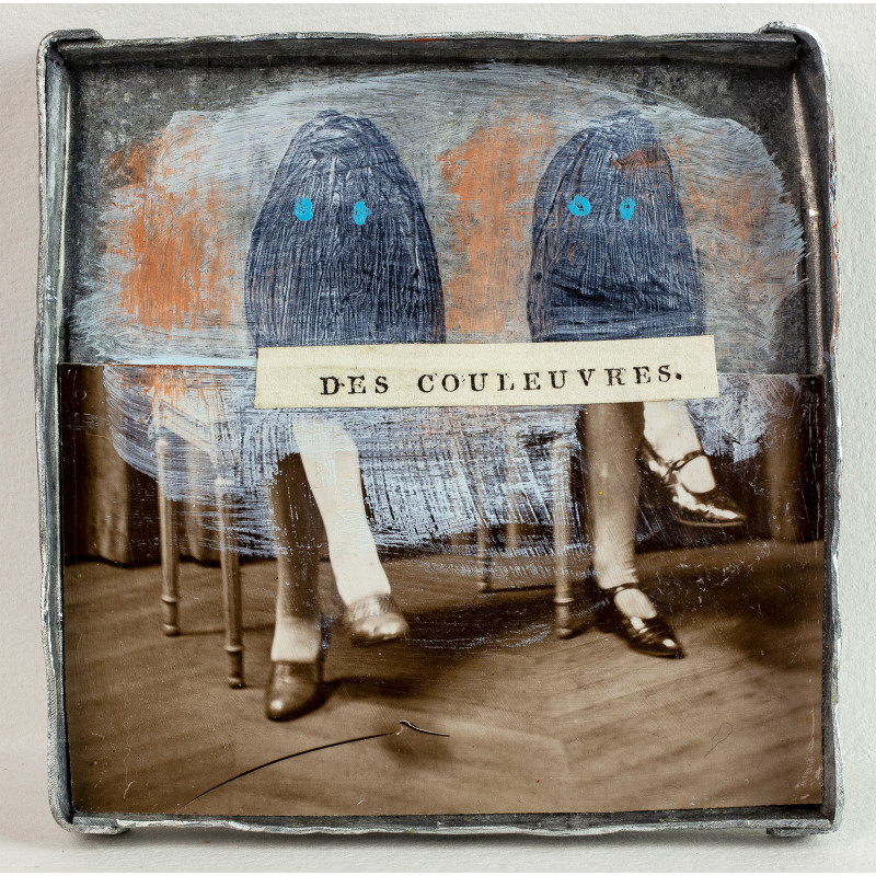 Des couleuvres