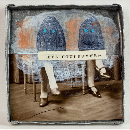 Des couleuvres